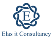 Elas IT Consultancy